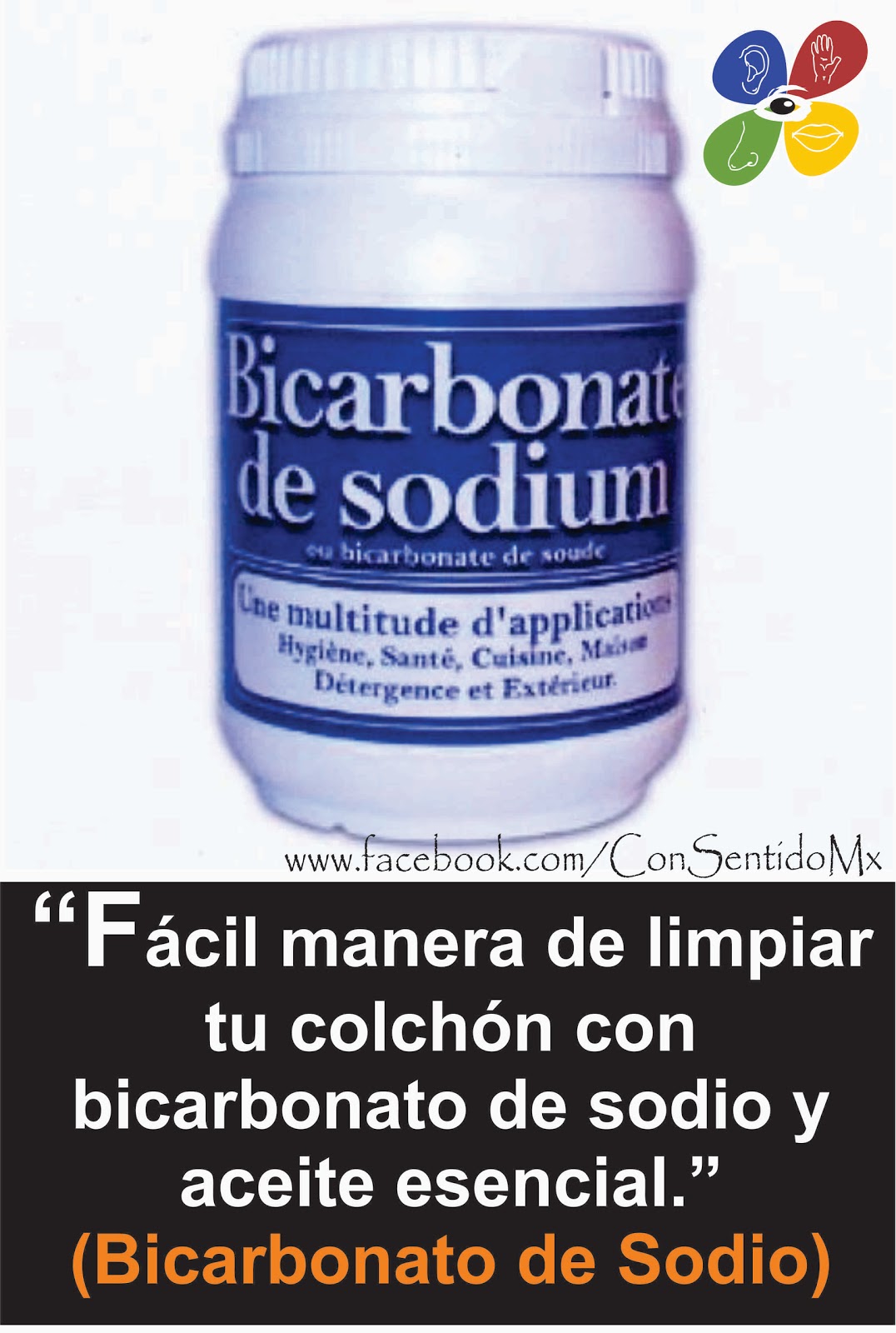cómo matar los ácaros de un colchón